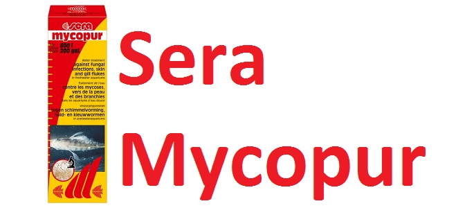 سرا مایکاپور – Sera mycopur