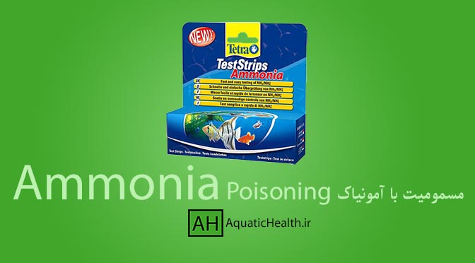 مسمومیت ماهی با آمونیاک - Ammonia poisoning