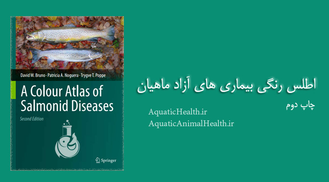 دانلود کتاب اطلس رنگی بیماری های آزاد ماهیان